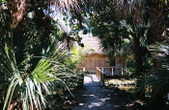 Enlarge photo 48