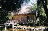 Enlarge photo 49
