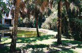 Enlarge photo 51