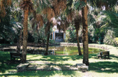 Enlarge photo 52