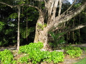 Enlarge photo 57