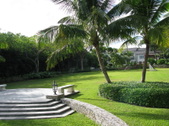 Enlarge photo 58