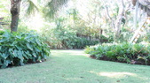 Enlarge photo 33