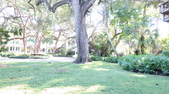 Enlarge photo 37