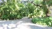 Enlarge photo 40