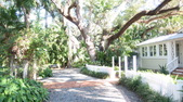 Enlarge photo 41