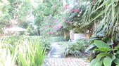 Enlarge photo 63