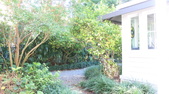Enlarge photo 66