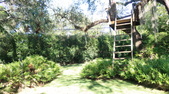 Enlarge photo 69