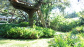 Enlarge photo 72