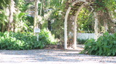 Enlarge photo 74
