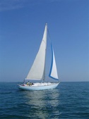 Enlarge photo 30