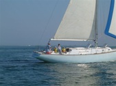 Enlarge photo 35