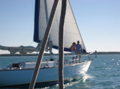 Enlarge photo 46