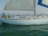 Enlarge photo 51