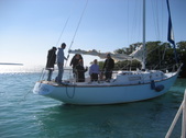 Enlarge photo 55