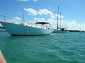 Enlarge photo 70