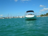 Enlarge photo 140