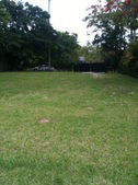 Enlarge photo 92