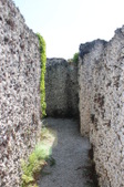 Enlarge photo 137