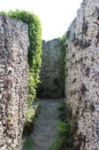 Enlarge photo 138