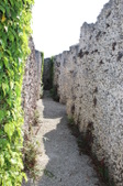 Enlarge photo 139