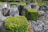 Enlarge photo 141