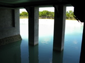 Enlarge photo 161