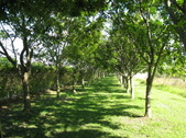 Enlarge photo 168