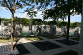 Enlarge photo 217