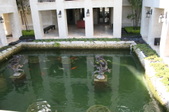 Enlarge photo 239