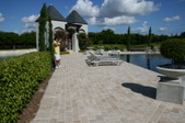 Enlarge photo 241