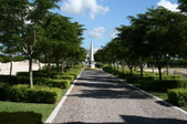 Enlarge photo 254