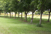 Enlarge photo 276