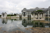 Enlarge photo 275