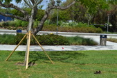 Enlarge photo 40