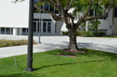 Enlarge photo 41