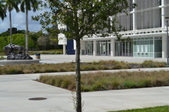 Enlarge photo 42