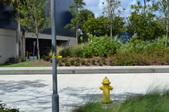 Enlarge photo 45