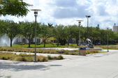 Enlarge photo 51