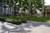 Enlarge photo 56
