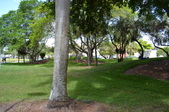 Enlarge photo 60