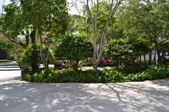 Enlarge photo 75