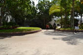 Enlarge photo 81