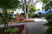 Enlarge photo 91
