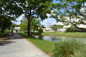 Enlarge photo 99