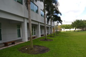 Enlarge photo 113