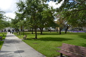 Enlarge photo 124