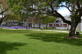 Enlarge photo 126