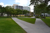 Enlarge photo 135